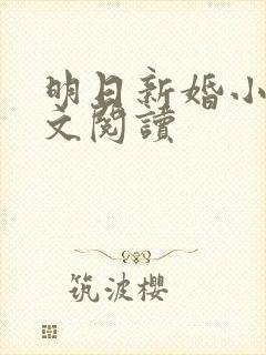 明日新婚小说全文阅读