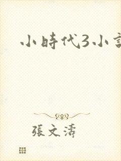 小时代3小说