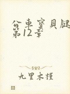 公车宝贝腿开点第12章