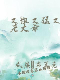 又粗又猛又大爽老大爷