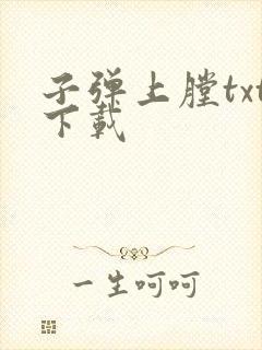 子弹上膛txt下载