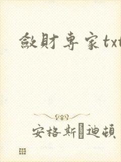 敛财专家txt