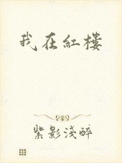 我在红楼