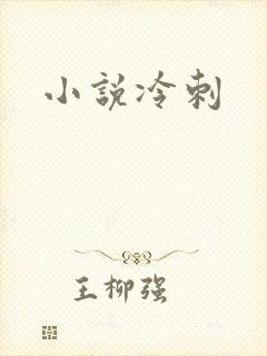 小说冷刺