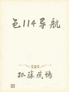 色114导航