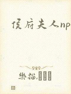 侯府夫人np