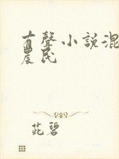 有声小说混世小农民