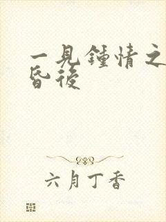 一见钟情之婚前昏后