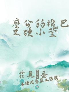 么公的机巴又粗又硬小莹