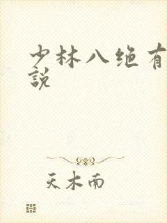 少林八绝有声小说