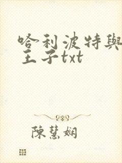 哈利波特与混血王子txt