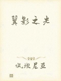 翼影之光