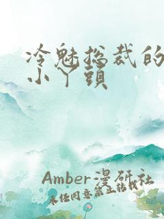 冷魅总裁的纯纯小丫头