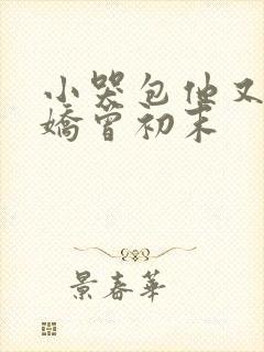 小哭包他又软又娇曾初末