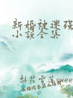 新婚被迷强系列小说全集