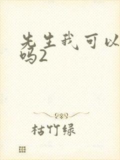 先生我可以上你吗2