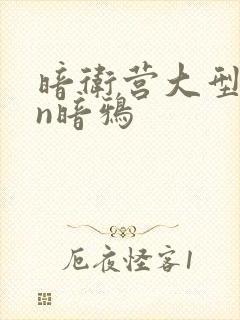 暗卫营大型hpn暗鸦