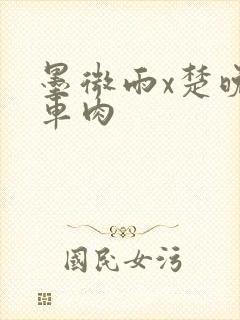 墨微雨x楚晚宁车肉