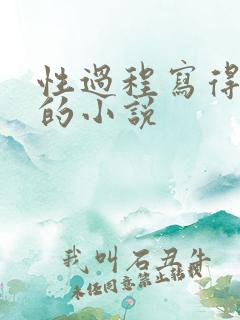 性过程写得详细的小说