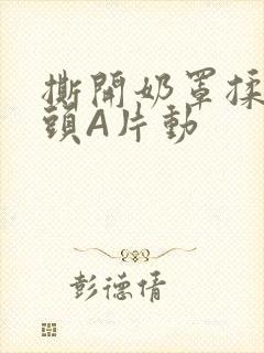 撕开奶罩揉吮奶头A片动