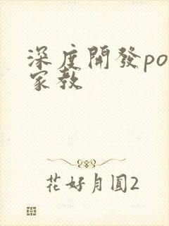 深度开发pop家教