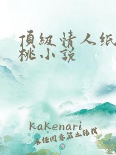 顶级情人纸皮核桃小说