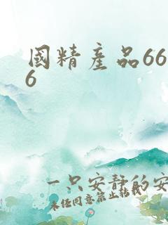 国精产品6666