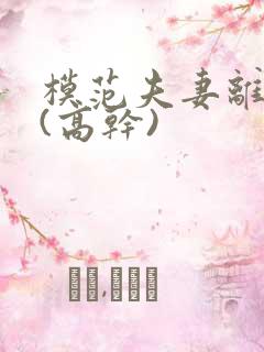 模范夫妻离婚了(高干)