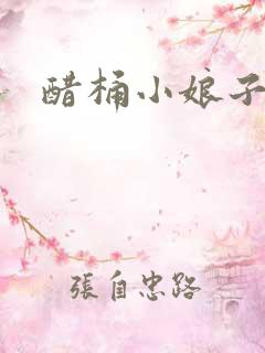 醋桶小娘子