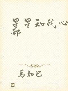 星星知我心第二部