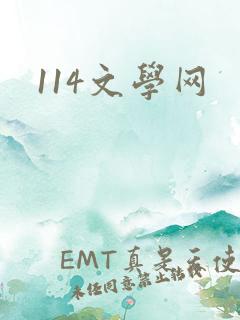 114文学网