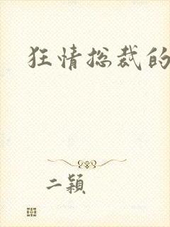 狂情总裁的囚妻