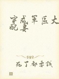 穿成军区大佬女配妻