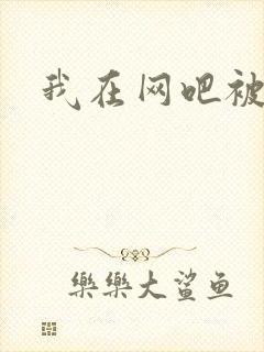 我在网吧被黑人