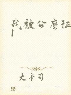 我被公么征服了1