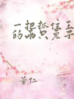 一把抓住王昭君的两只兔子