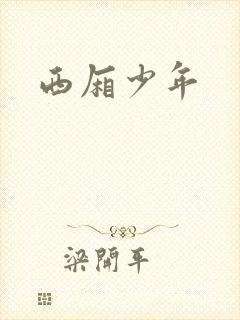 西厢少年