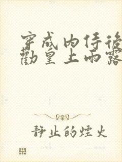 穿成内侍后总在劝皇上雨露均沾