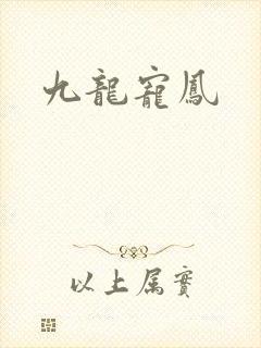 九龙宠凤