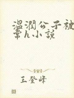 温润公子被脔日常h小说