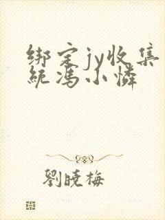 绑定jy收集系统冯小怜