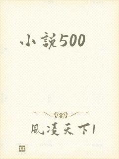 小说500
