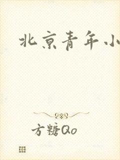 北京青年小说