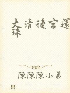 大清后宫还君明珠