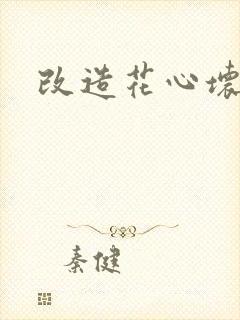 改造花心坏相公