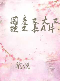 国产又大又粗又硬又长A片小说