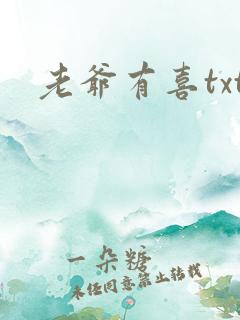 老爷有喜txt