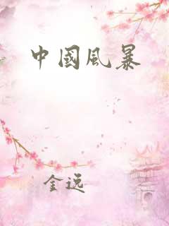 中国风暴