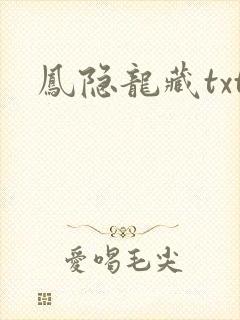 凤隐龙藏txt