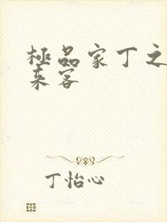 极品家丁之远方来客